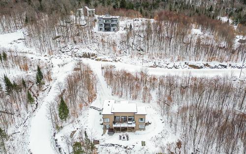 Overall view - 165 Rue Du Denali, La Conception, QC - Outdoor With View