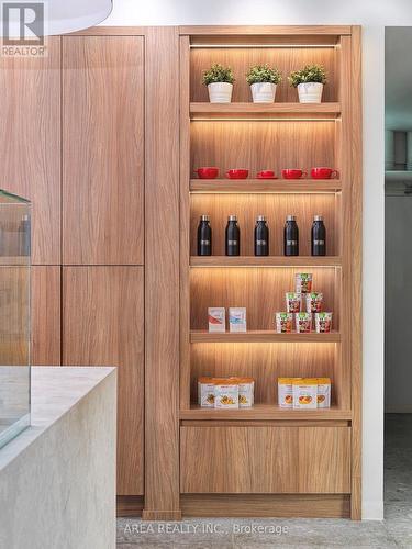 108B - 233 College Street, Toronto, ON 