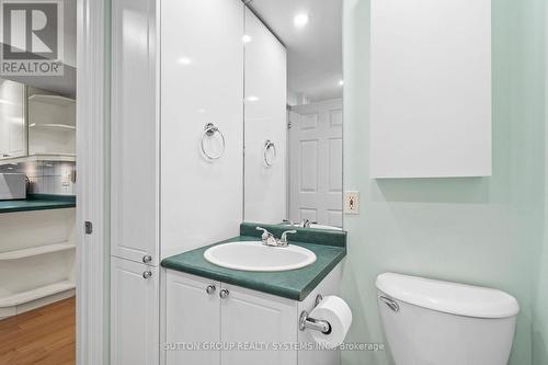 Basement - 103 Summitcrest Drive, Toronto, ON - Indoor Photo Showing Bathroom