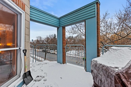 Terrasse - 703 Ch. Marie-Le Ber, Montréal (Verdun/Île-Des-Soeurs), QC - Outdoor