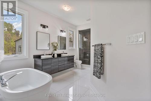 87 Goldie Court, Blue Mountains, ON - Indoor Photo Showing Bathroom