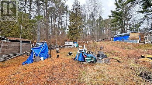 1038 Pike Lane, Dysart Et Al, ON 