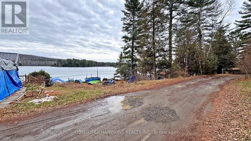 1038 Pike Lane, Dysart Et Al, ON 