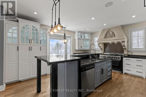 2955 Catherine Street, Thames Centre (Dorchester), ON - Indoor Photo Showing Kitchen With Double Sink