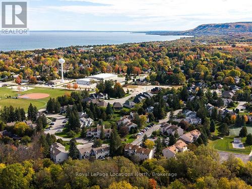 38 - 127 Alfred Street W, Blue Mountains, ON - Outdoor With View