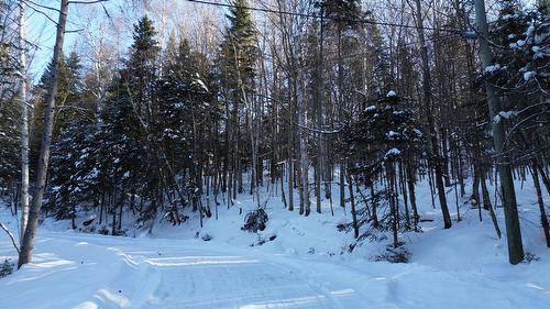 Terre/Terrain - Rue Du Jardin, Morin-Heights, QC 