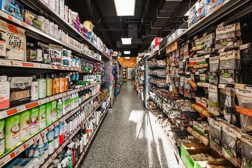 Commerce - 20-7405 Boul. Grande-Allée, Brossard, QC 