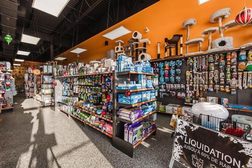 Commerce - 20-7405 Boul. Grande-Allée, Brossard, QC 