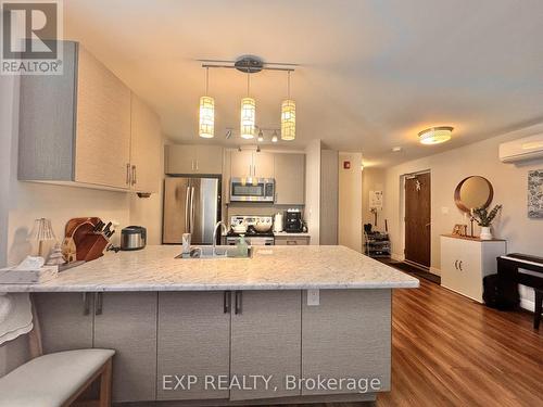 204 - 5 Paisley Boulevard E, Mississauga, ON - Indoor Photo Showing Kitchen With Stainless Steel Kitchen With Upgraded Kitchen