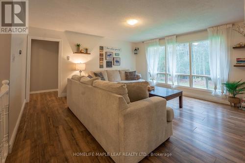 1507 Muskoka 117 Road, Bracebridge, ON - Indoor Photo Showing Living Room