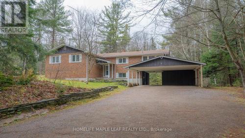 1507 Muskoka 117 Road, Bracebridge, ON - Outdoor