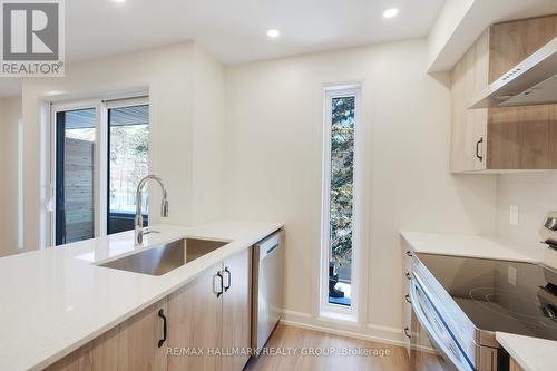A - 958 Fisher Avenue, Ottawa, ON - Indoor Photo Showing Kitchen With Upgraded Kitchen