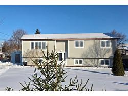 43 Meadowbrook Drive  St. Johns, NL A1S 1C2