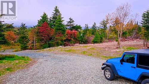 295-307 Cemetry Road, Brigus, NL - Outdoor