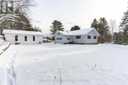 Large lawn area for gardens or pets - 