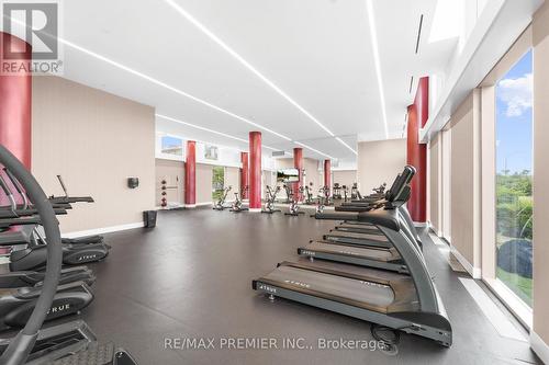 102 - 38 Monte Kwinter Court, Toronto, ON - Indoor Photo Showing Gym Room