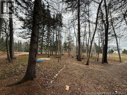 24830 134 Route, Blackland, NB 