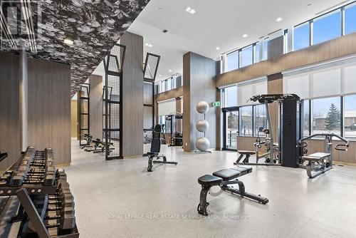 Lph 17 - 405 Dundas Street W, Oakville, ON - Indoor Photo Showing Gym Room