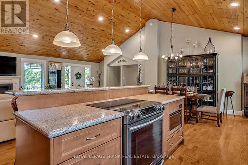 1898 Lakehurst Road, Trent Lakes, ON - Indoor Photo Showing Kitchen