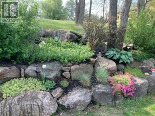 1898 Lakehurst Road, Trent Lakes, ON - Outdoor