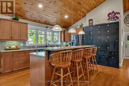 1898 Lakehurst Road, Trent Lakes, ON - Indoor Photo Showing Kitchen