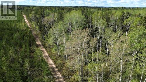 Con 3 Pt Lot 5 Bowman, Black River-Matheson (Matheson), ON 