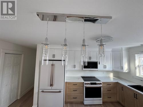 59 Michener Avenue, Mount Pearl, NL - Indoor Photo Showing Kitchen