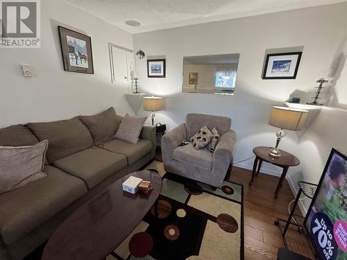 59 Michener Avenue, Mount Pearl, NL - Indoor Photo Showing Living Room