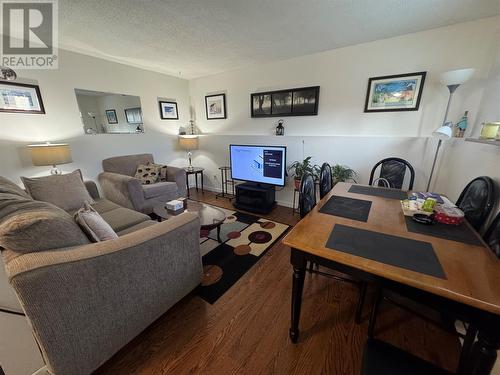 59 Michener Avenue, Mount Pearl, NL - Indoor Photo Showing Living Room