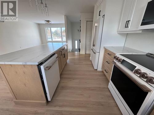 59 Michener Avenue, Mount Pearl, NL - Indoor Photo Showing Kitchen