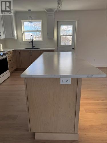 59 Michener Avenue, Mount Pearl, NL - Indoor Photo Showing Kitchen
