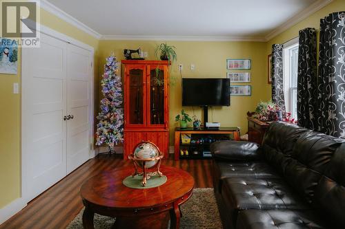 272 Main Street, Victoria Cove, NL - Indoor Photo Showing Living Room