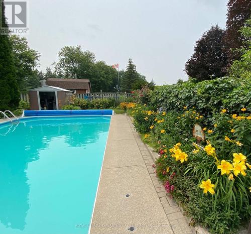89 Angeline Street S, Kawartha Lakes (Lindsay), ON - Outdoor With In Ground Pool