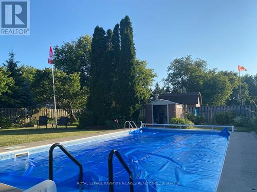 89 Angeline Street S, Kawartha Lakes (Lindsay), ON - Outdoor With In Ground Pool With Backyard