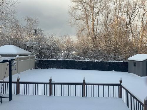 Backyard - 192 Rue Du Tournoi, Gatineau (Aylmer), QC - Outdoor