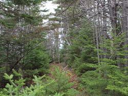 Lot Mirror Point Drive Graywood, NS B0S 1A0