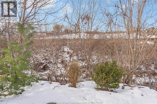 56 Parkside Dr, Mcgregor, ON - Outdoor With View