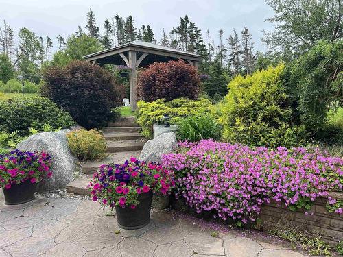462 Bald Rock Road, Sambro, NS - Outdoor