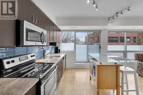 106 - 390 Booth Street, Ottawa, ON - Indoor Photo Showing Kitchen
