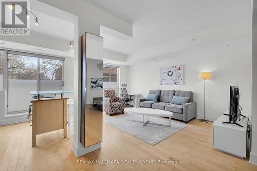 106 - 390 Booth Street, Ottawa, ON - Indoor Photo Showing Living Room
