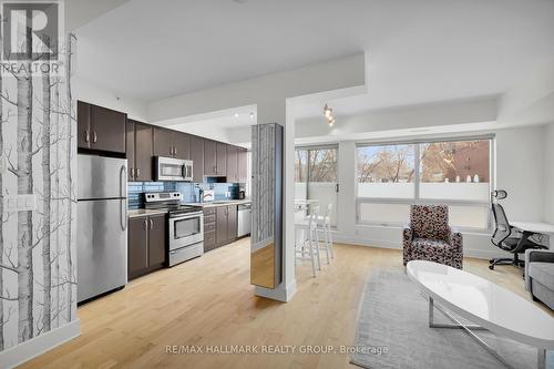 106 - 390 Booth Street, Ottawa, ON - Indoor Photo Showing Kitchen