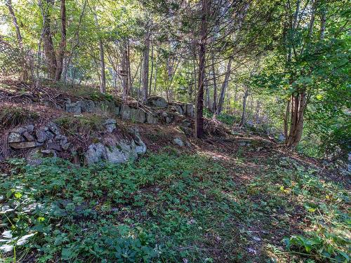 24 Lynn Road, Halifax, NS 