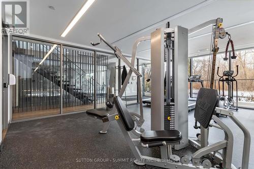 D422 - 5220 Dundas Street, Burlington, ON - Indoor Photo Showing Gym Room
