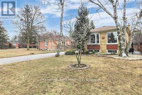 Basement A - 214 Altamira Road, Richmond Hill, ON - Outdoor