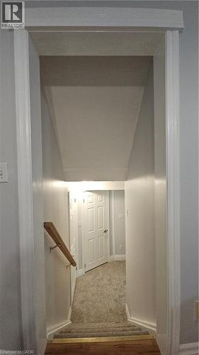 Staircase with carpet and baseboards - 10 Doll Court Unit# Lower, Kitchener, ON - Indoor Photo Showing Other Room