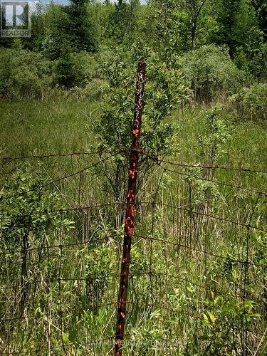 3501 County Rd 15 Road, Augusta, ON 