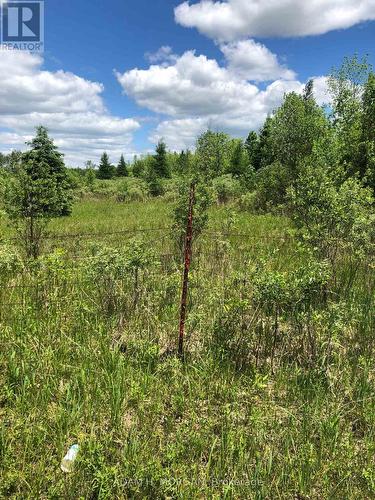 3501 County Rd 15 Road, Augusta, ON 