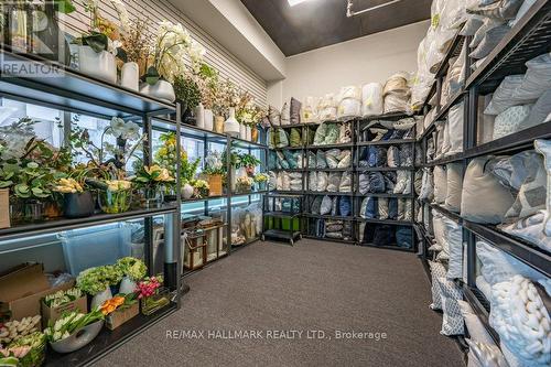 16 - 125 Don Hillock Drive, Aurora, ON 