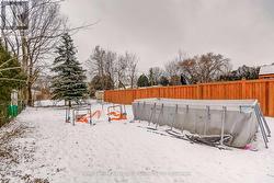 More garden photos - 