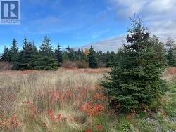 17-25 Bay Ridge Road  Ferryland, NL A0A 2H0